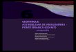 GEOPARQUE ASTROBLEMA DE ARAGUAINHA - PONTE BRANCA 