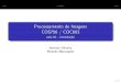 Processamento de Imagens COS756 / COC603 - aula 01 - introdução