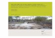 Exploração dos Recursos Florestais em Cabo Delgado Relatório do