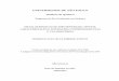 Metalofármacos de dirutênio (II, III): síntese, caracterização e 