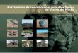 Patrimonio Arqueologico e Arquitectonico de Vieira do Minho.pdf