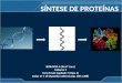 A síntese de proteínas