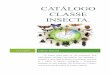 Catálogo classe insecta