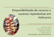 Disponibilidade de recurso e sucesso reprodutivo em Heliconia