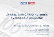 Spread Bancário - Flavio Castelo Branco