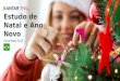 Estudo Natal e Ano novo Brasil