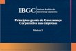 Princípios gerais de Governança Corporativa nas empresas com 