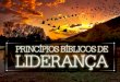 Princ­pios Biblicos de Lideran§a
