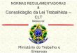 CLT - Consolidação das Leis Trabalhistas - Módulo 02 - NR 01