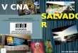 VCNA - Salvador BA - Parte 1