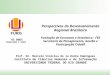 Perspectivas do Desenvolvimento Regional Brasileiro - Marcelo La Rocha Domingues