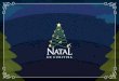 Natal Encantado de Curitiba Proposta Patrocínio 2016 Grupo Canal
