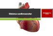 Sistema circulatório sanguíneo (aula 3 maço)