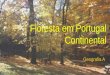 Floresta em Portugal Continental