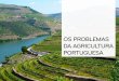 3 os problemas da agricultura portuguesa