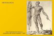 Tecido Muscular - Histologia e Introdução à Sistemas 2016