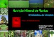 Nutri§£o mineral de plantas. o metabolismo do nitrognio. parte 1   o molibdnio