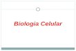 5. biologia celular
