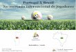 Estudo Portugal x Brasil no mercado de transferências de jogadores