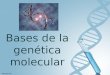 Tema 11  bases de la genética molecular