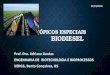 Tópicos especiais   biodiesel