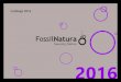 Fossil Natura - Catálogo 2016