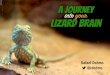 A Journey into your Lizard Brain - PHP Conference Brasil 2015