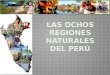 Las ochos regiones naturales del perú