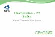 Herbicidas - 2ª safra