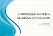 Introdução ao setor celulósico brasileiro
