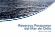 Recursos Pesqueros del Mar de Chile