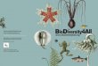 Flyer BioDiversity4All
