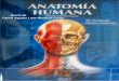 Tratado anatomia humana   f. quiroz - tomo3