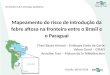 Mapeamento do risco de introdução da febre aftosa na fronteira do brasil com o paraguai