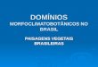 Domínios morfoclimatobotânicos no brasil