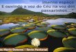 Série pantanal - Poesias de Maria Dolores