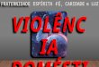 8 Violência Doméstica