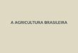 A agricultura brasileira ii