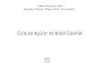 Ciclo do açúcar no brasil colonial by Ernandez Oliveira