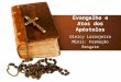 Formação - Evangelho e Atos dos Apóstolos