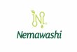 Plano de negócio MMN - Nemawashi 2016
