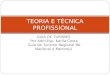 Teoria e técnica profissional