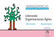 Management3.0-Liderando Organizaciones Ágiles
