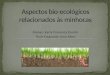Aspectos bio ecologicos relacionados as minhocas