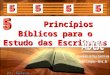 Os 5 princ­pios biblicos para a leitura da Biblia