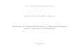 Métodos de Elementos Finitos e Diferenças Finitas para a equação