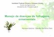 Manejo de Doencas de folhagens ornamentais - Claudia Santana Reis - Prof. Milton L. Paz Lima