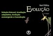 Evolução: seleção natural, Irradiação Adaptativa, Evolução Convergente e Coevolução