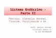 Fisiologia - Sistema Endócrino 2
