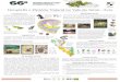 Geografia e Historia Natural no Vale do Jurua -Acre